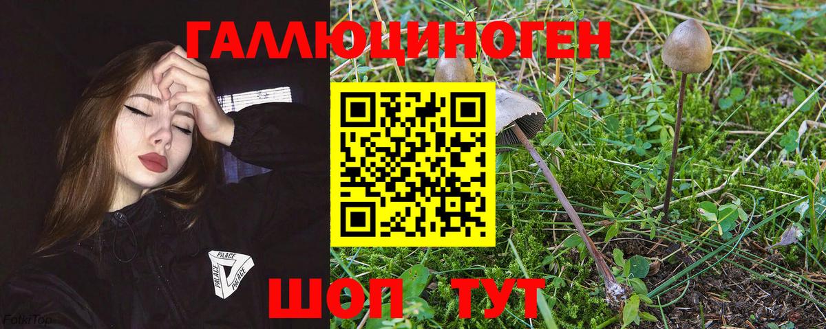 Галлюциногенные грибы прущие грибы  Вход с VPN  Острогожск 